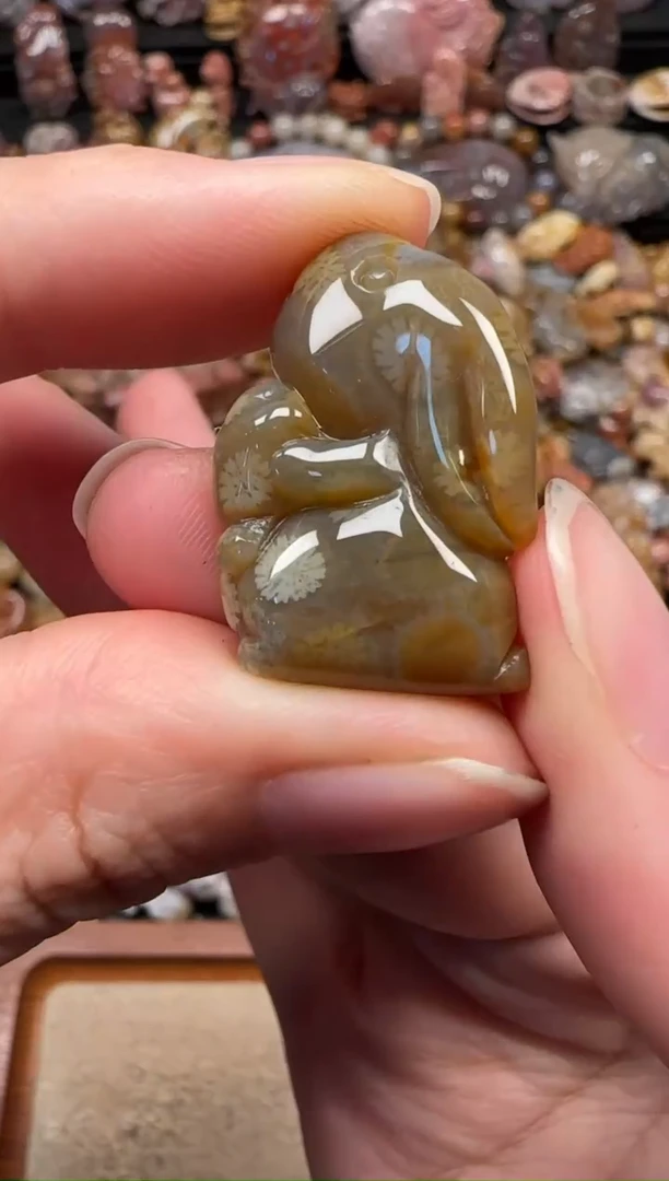 颈饰未镶嵌硅化珊瑚（珊瑚玉）714
