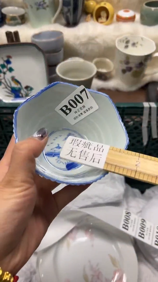 【闪购商品】瓷片          B007