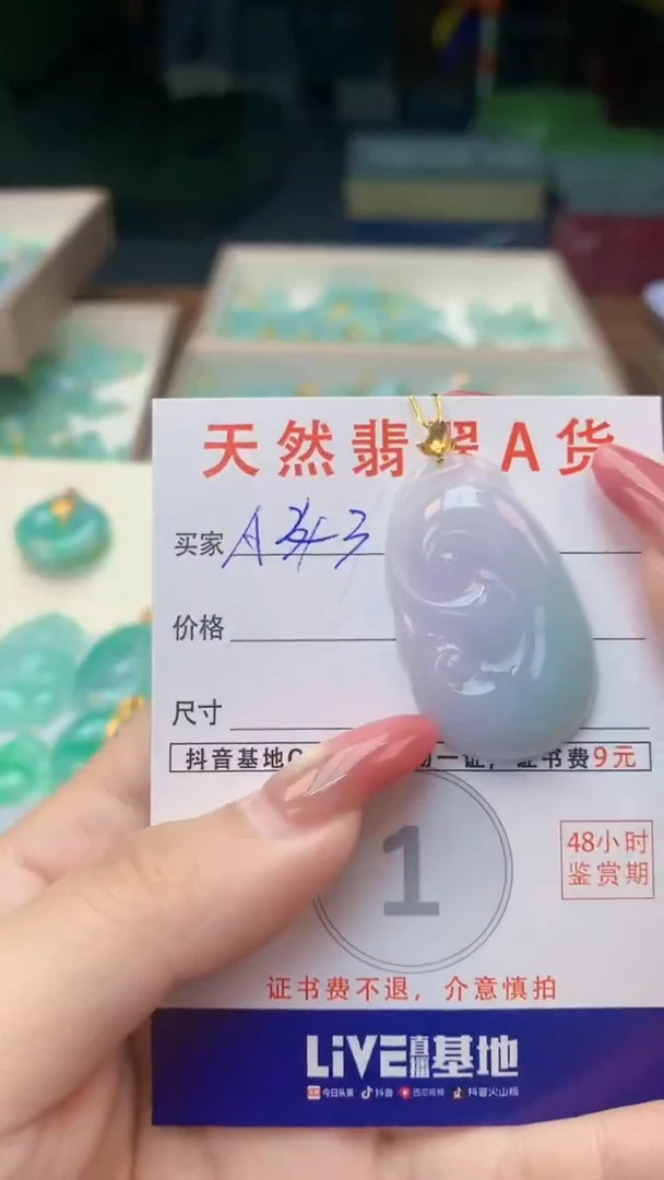 颈饰未镶嵌翡翠纯天然翡翠A货挂件