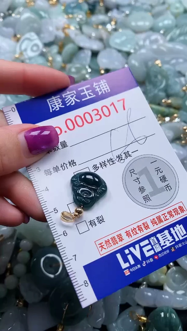 颈饰未镶嵌翡翠3017