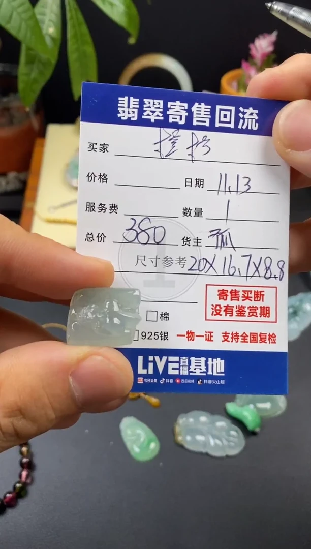 颈饰未镶嵌翡翠橙****）3000379