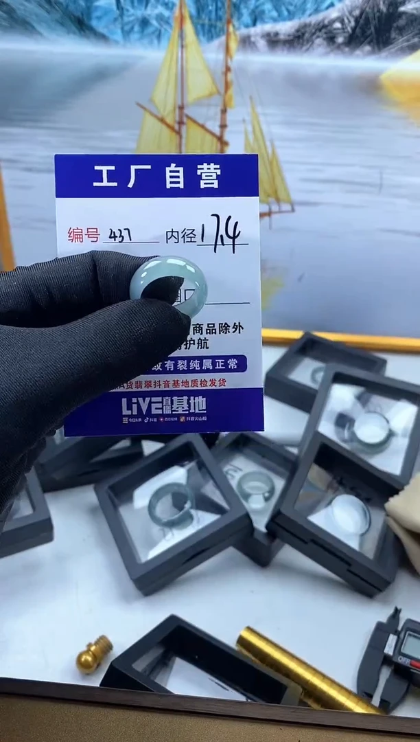 未镶嵌戒圈翡翠437