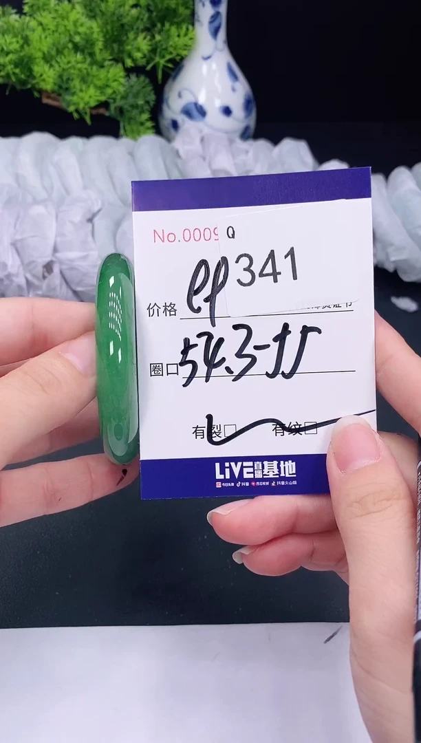 未镶嵌手镯翡翠341