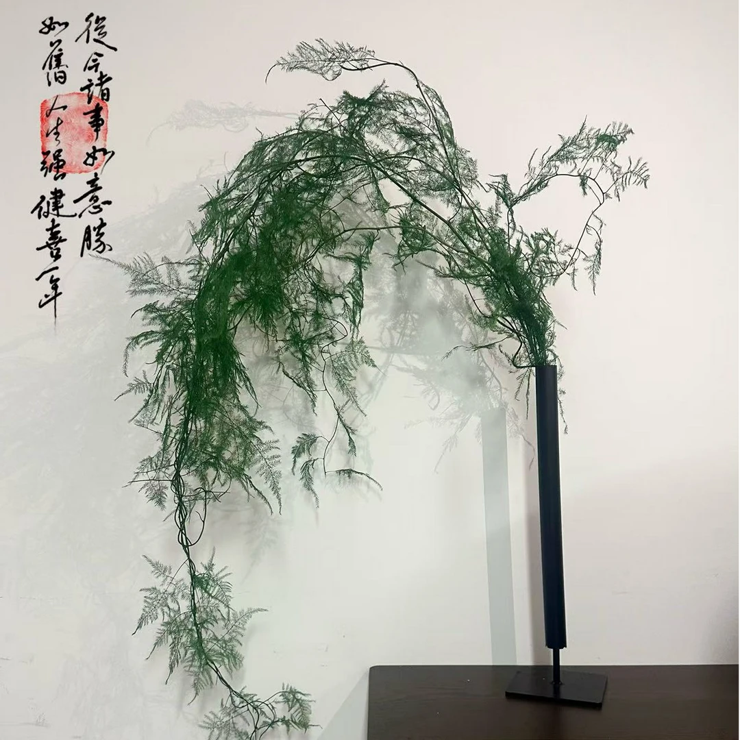 【墨韵竹安】文竹永生花瓶插摆件小众花材桌面摆件中式装饰