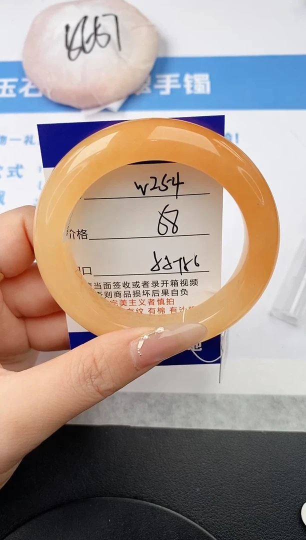 未镶嵌手镯石英质玉w254-HHB