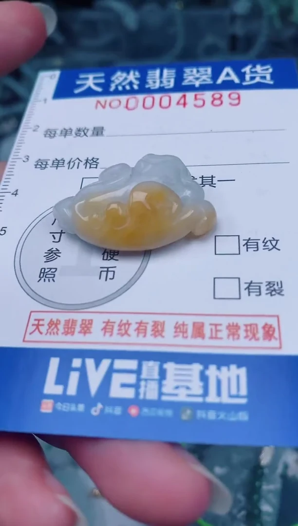 颈饰未镶嵌翡翠00004589