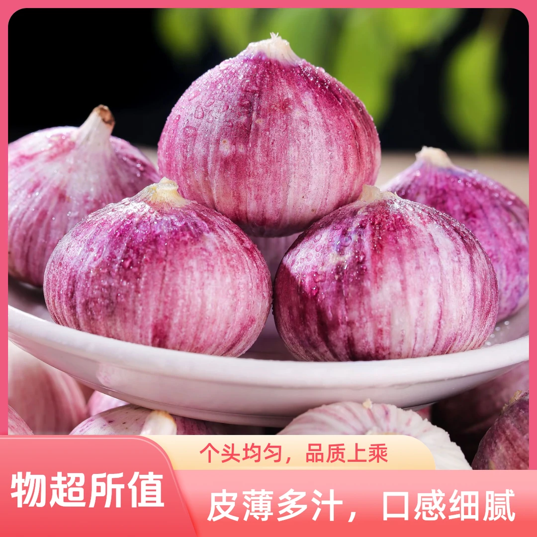 紫皮独头蒜现挖新独头蒜 紫皮大蒜香蒜独蒜 湿蒜 [大促]