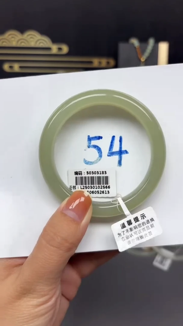 未镶嵌手镯和田玉3183