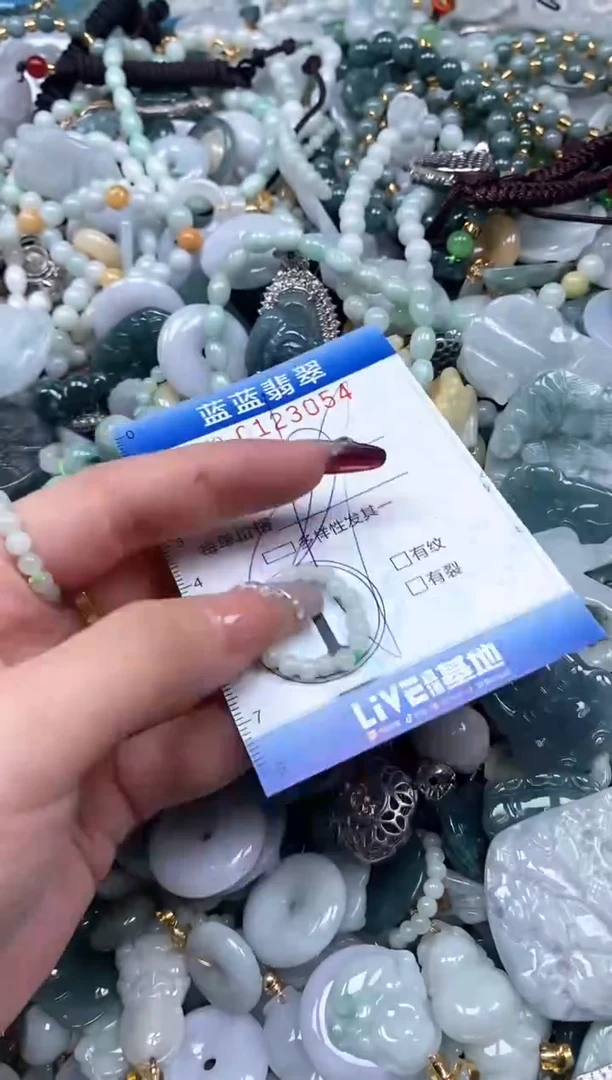 【闪购商品】翡翠颈饰未镶嵌闪购0123054多样性发其一