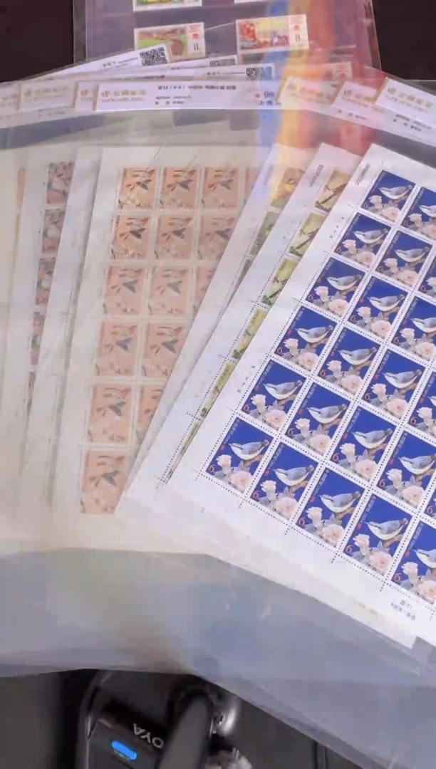 中国鸟 大版 邮票