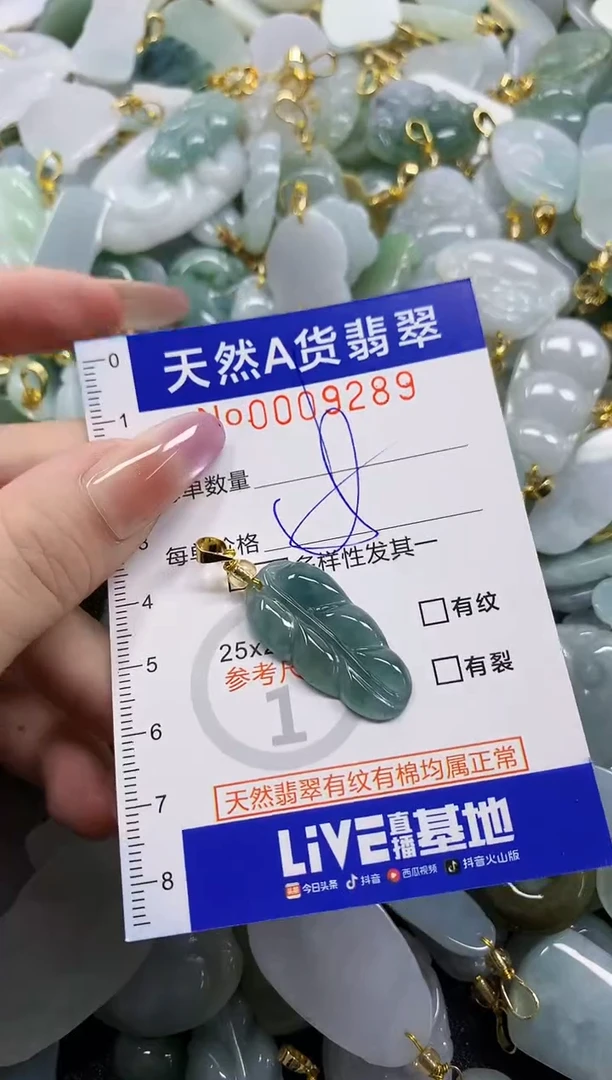 颈饰未镶嵌翡翠天然A货翡翠