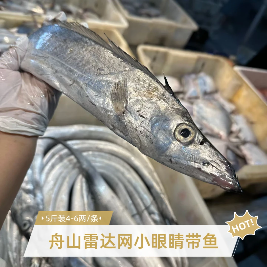 5斤装舟山野生雷达网小眼睛带鱼东海海鲜整条发货4-6两左右/条整箱发货顺丰发货
