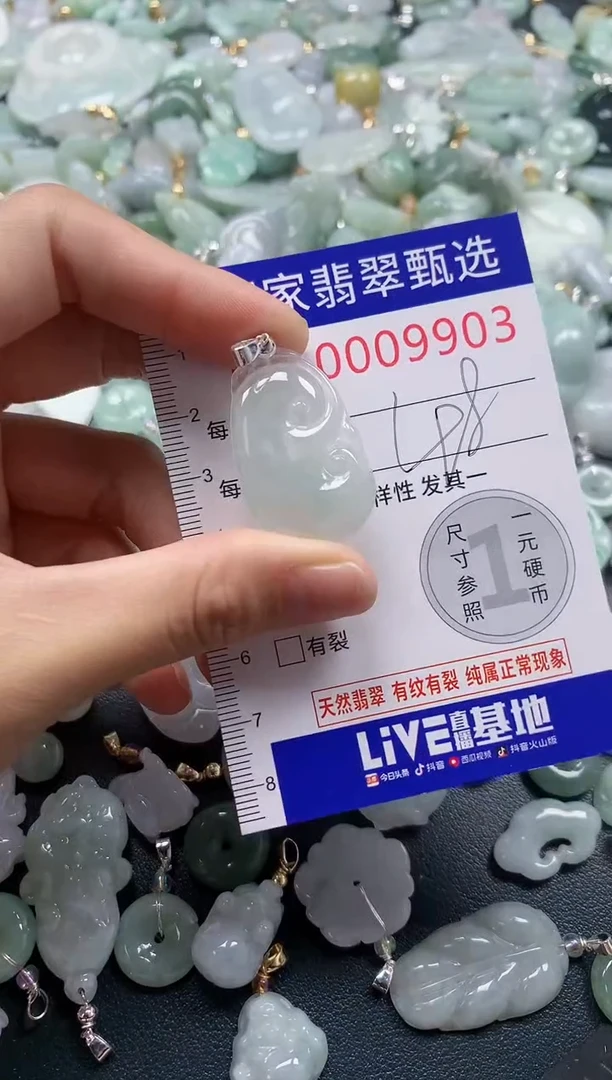 吊坠(不含链)未镶嵌翡翠9903