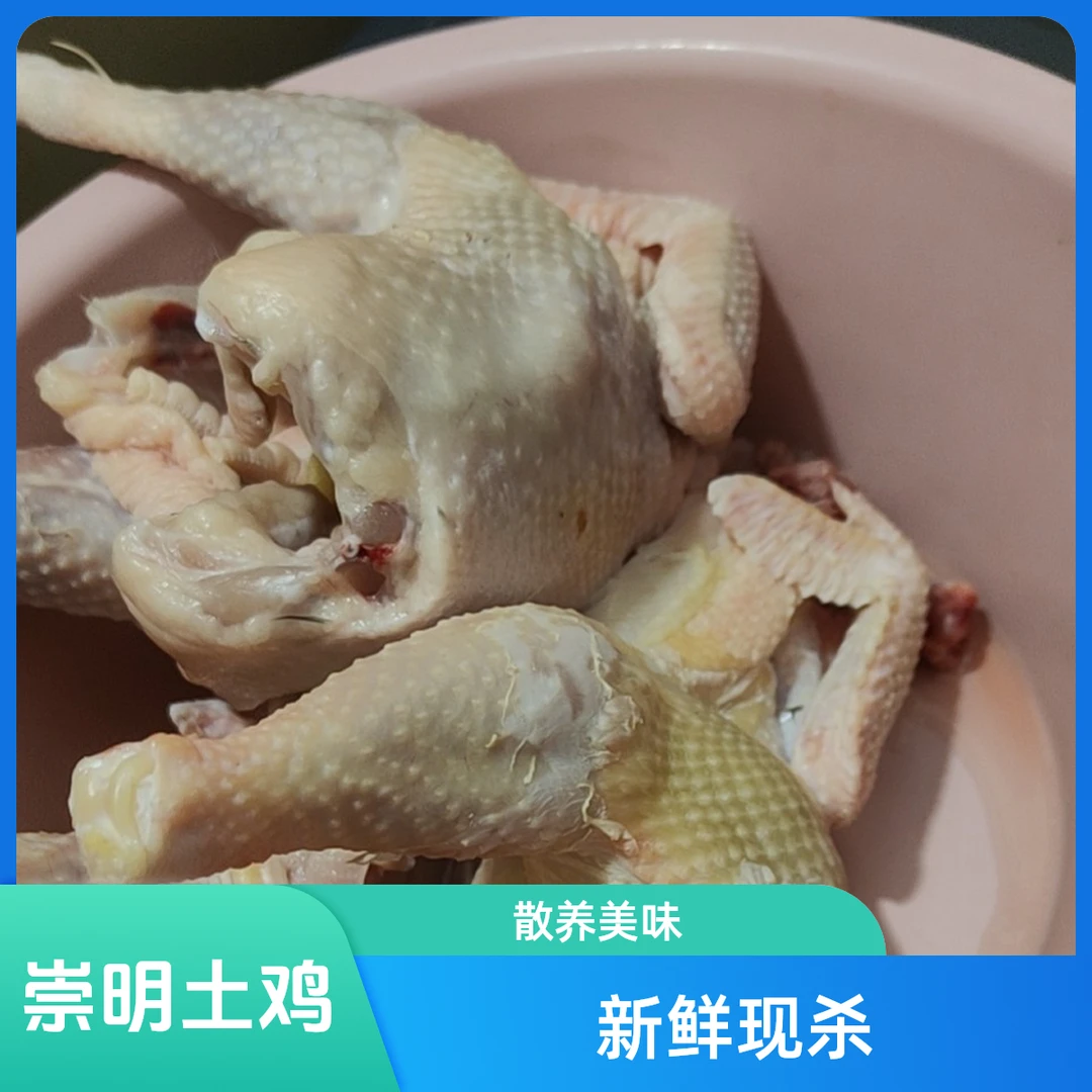 崇明农家散养土鸡一只杀好约2.8斤烧烤食材