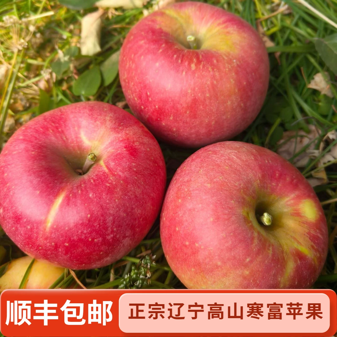 [顺丰]辽宁正宗高山寒富红富士苹果新鲜水果产地直发脆酸甜多汁