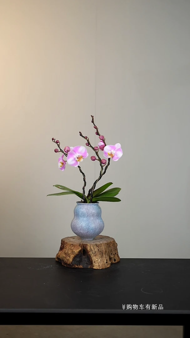 【闪购商品】035号链接【一物一拍】艺术盆景