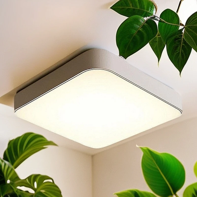 创意卧室小型玄关吸顶灯卫生间客厅方形餐厅铁艺吸顶灯灯饰可遥控