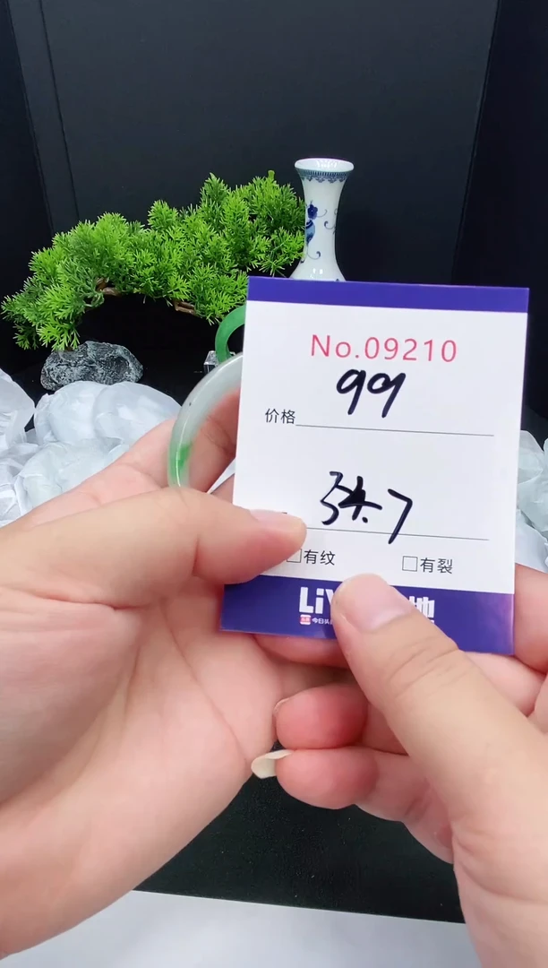 未镶嵌手镯翡翠9210