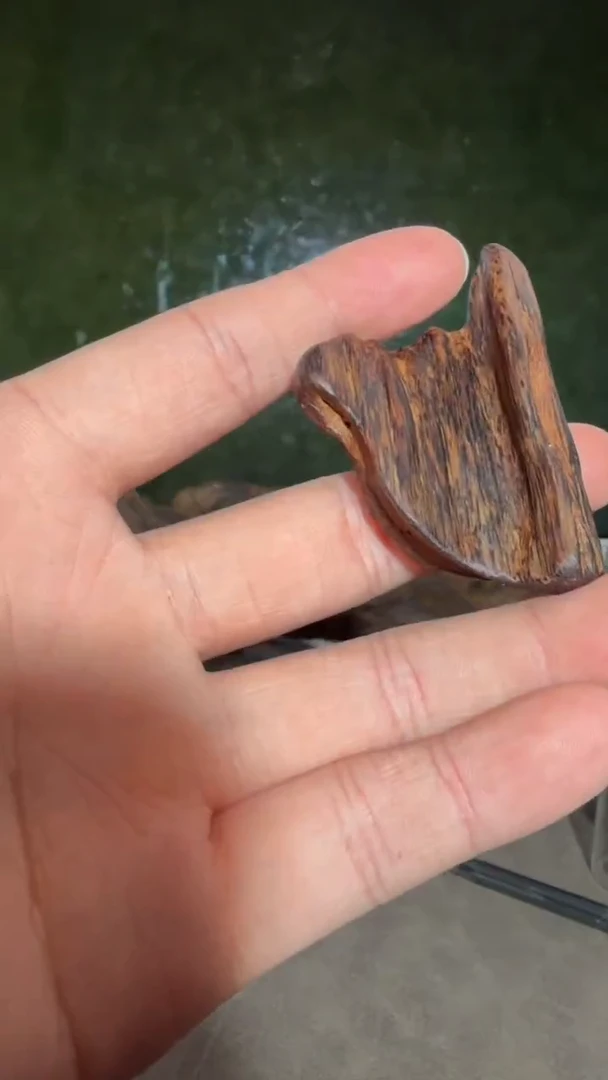 沉香手串多样性发一