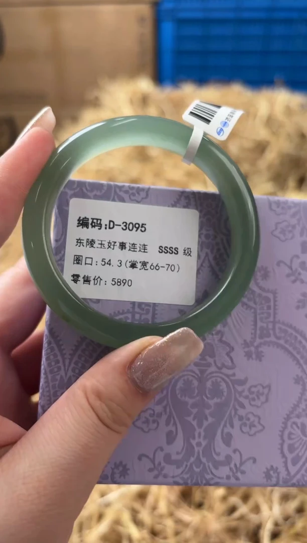 未镶嵌手镯石英质玉D-3095