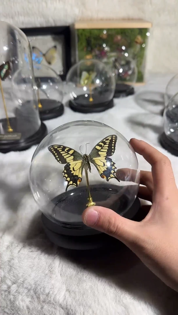 有机玻璃千分蝶  水晶球