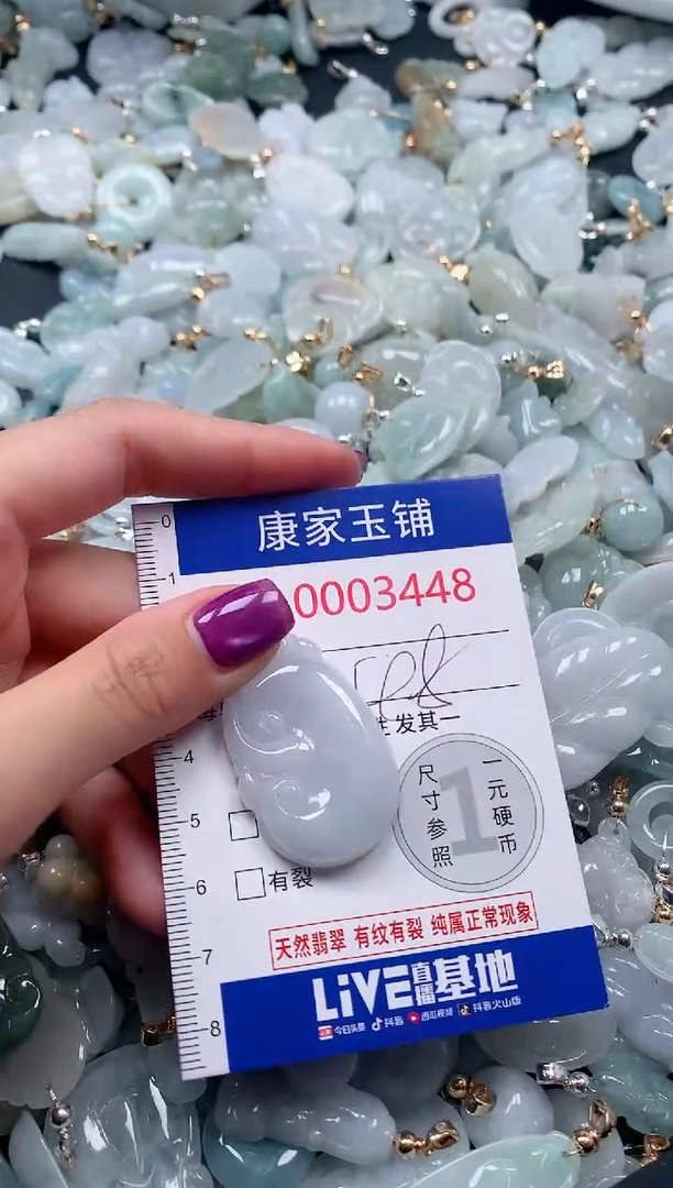 颈饰未镶嵌翡翠3448
