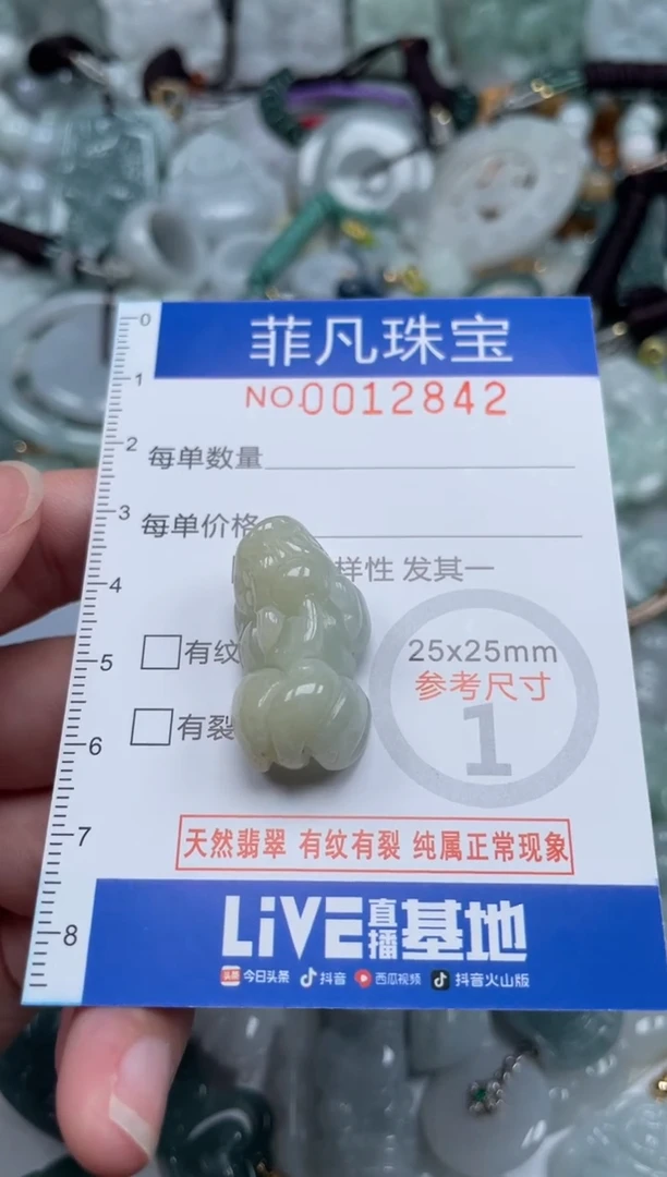 颈饰未镶嵌翡翠12842