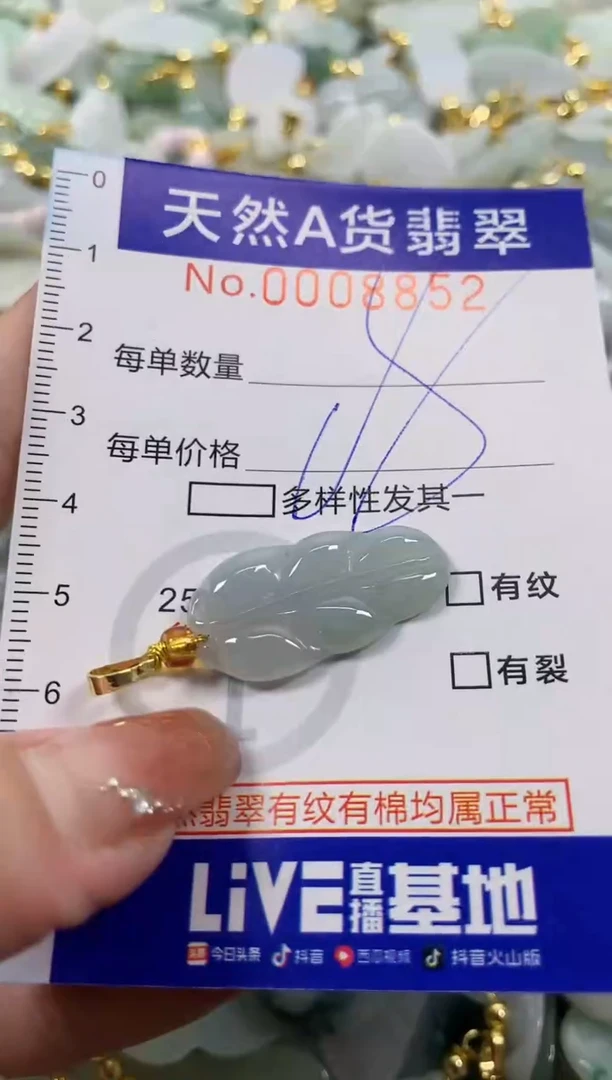 颈饰未镶嵌翡翠天然A货翡翠