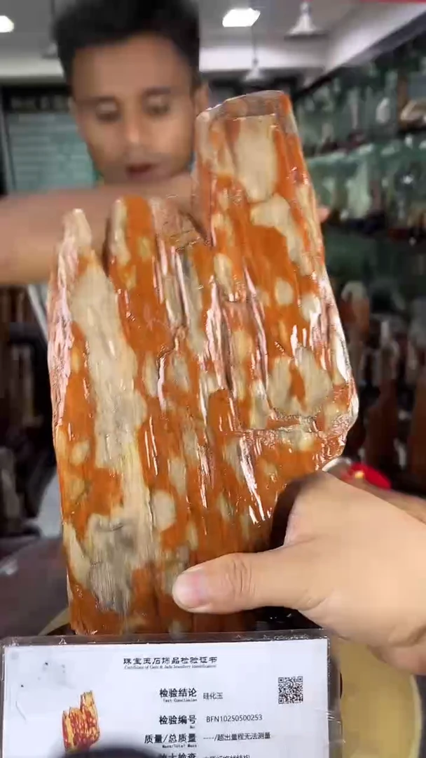 未镶嵌珠宝奇石硅化玉缅甸天然树化玉摆件