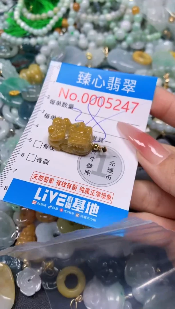 【闪购商品】翡翠颈饰未镶嵌含绳0005247