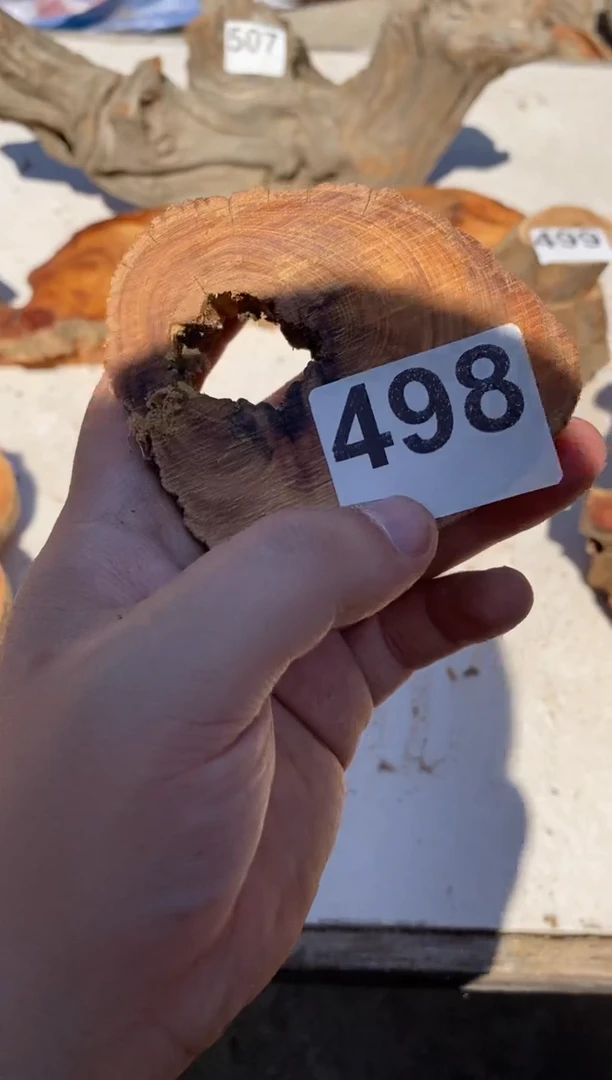 柏木（崖柏）太行陈化崖柏切片一块（津诚林）498