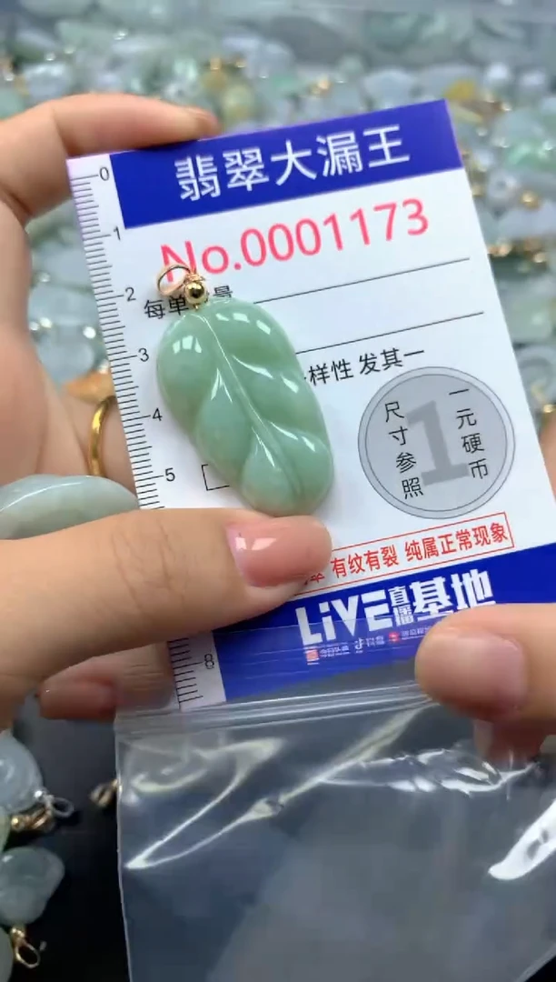 颈饰未镶嵌翡翠1173
