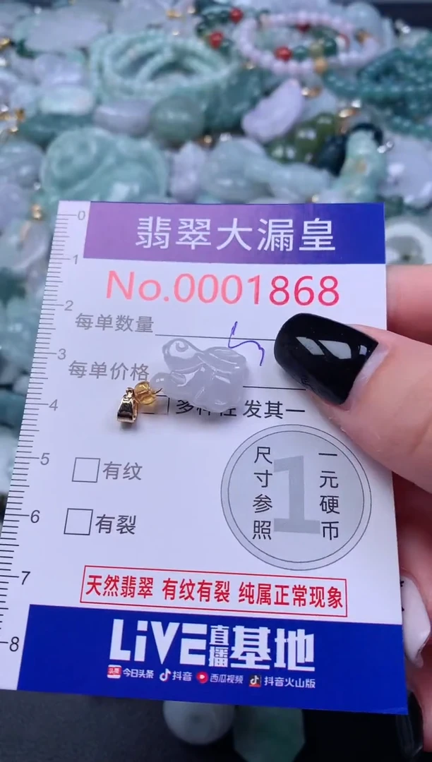 颈饰未镶嵌翡翠1868