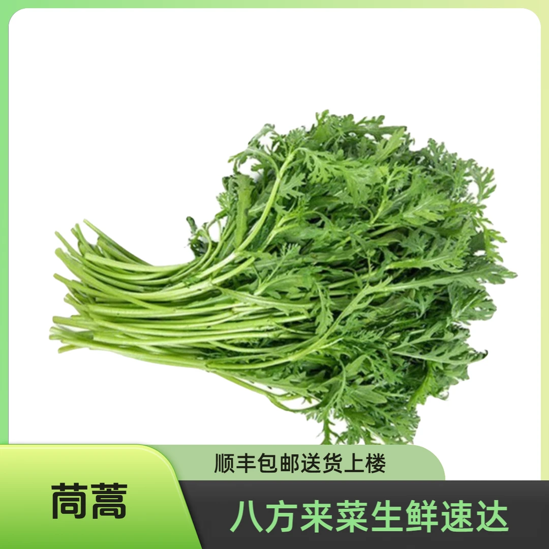 茼蒿500g绿色蔬菜