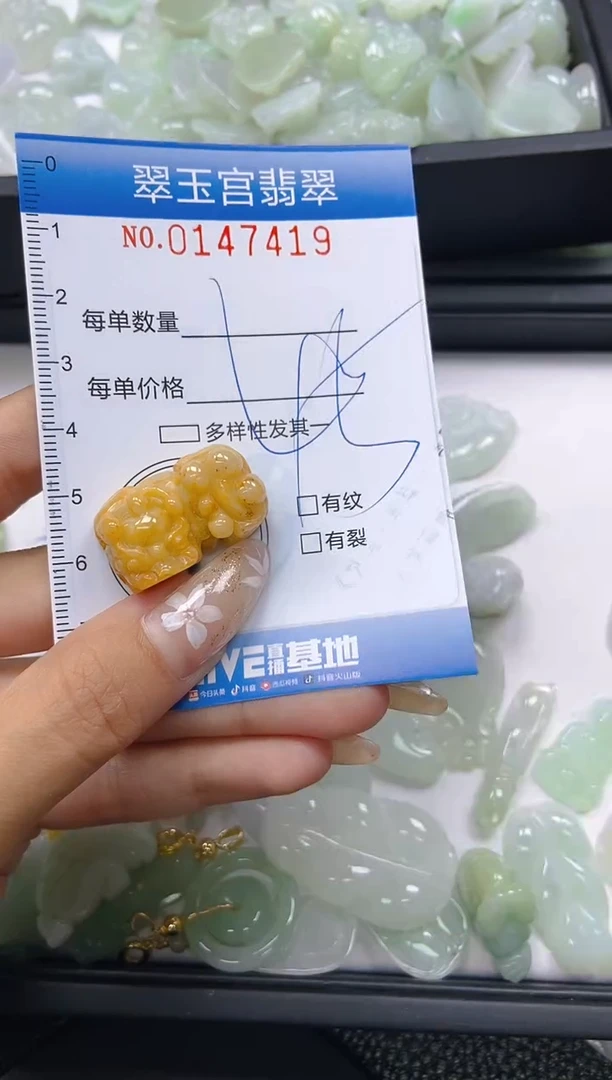 翡翠未镶嵌颈饰闪购0147419