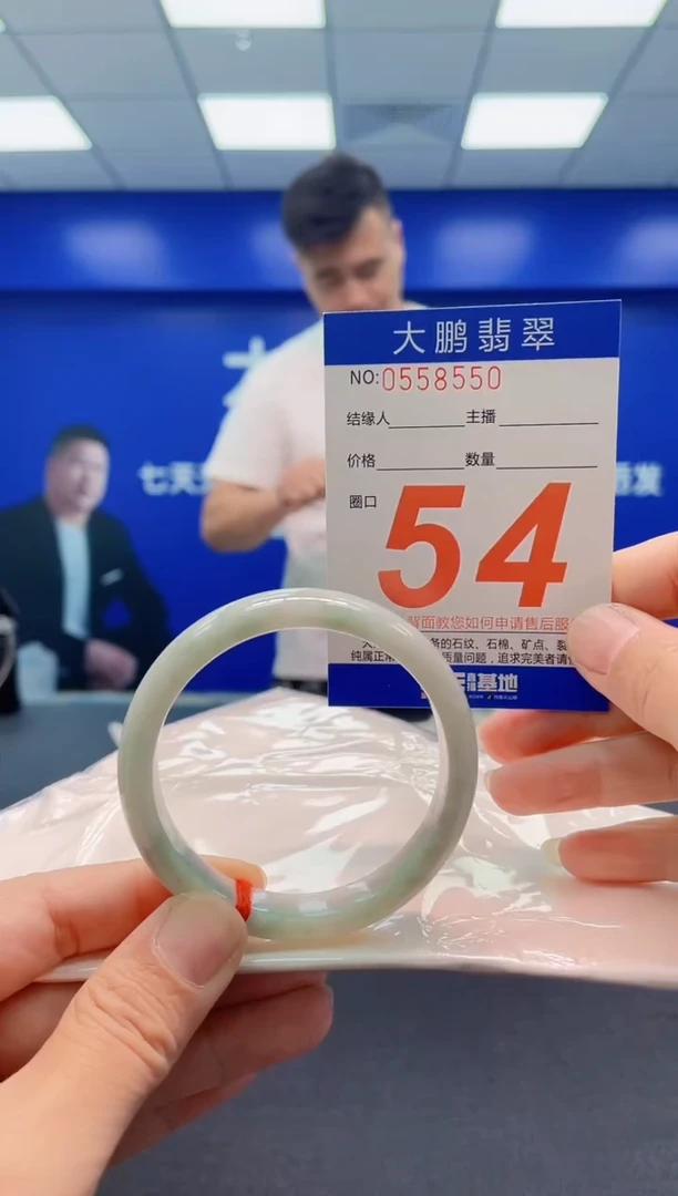 未镶嵌手镯翡翠AAAAAAAAA