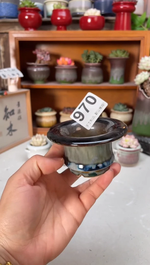 瓷片970小芳直播编号