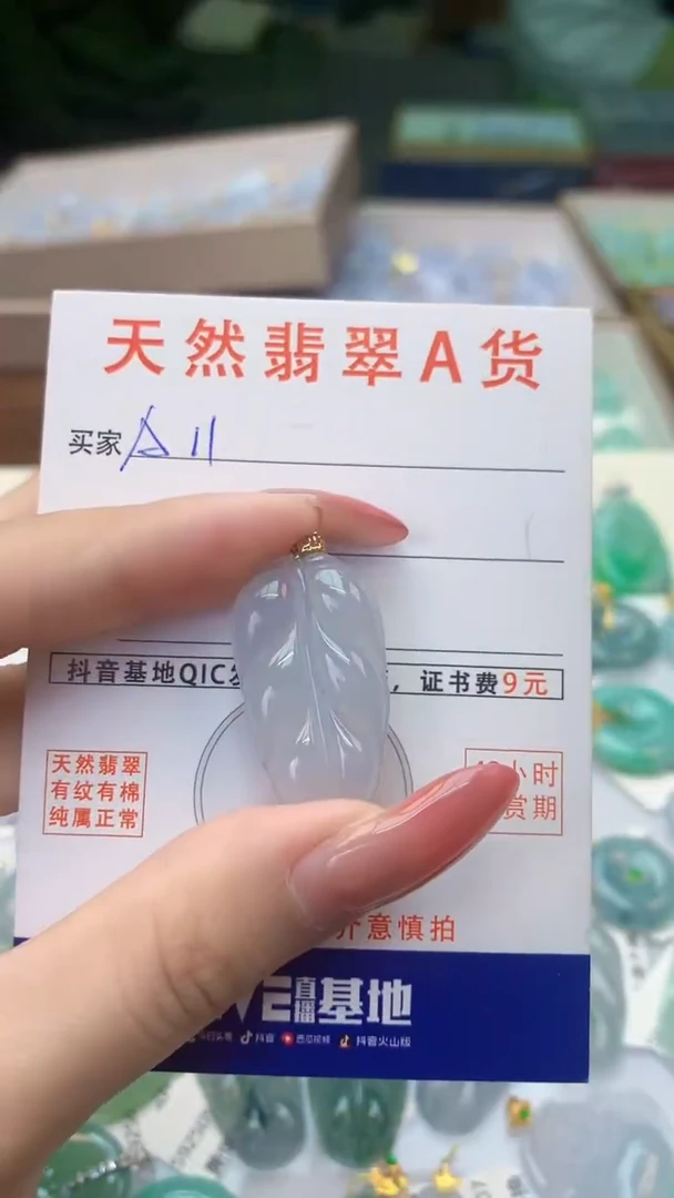颈饰未镶嵌翡翠天然A货翡翠挂件