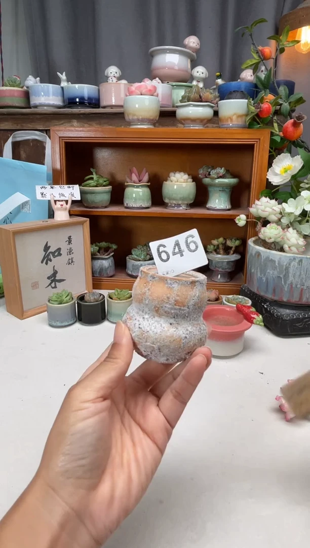 瓷片645知木小芳花盆