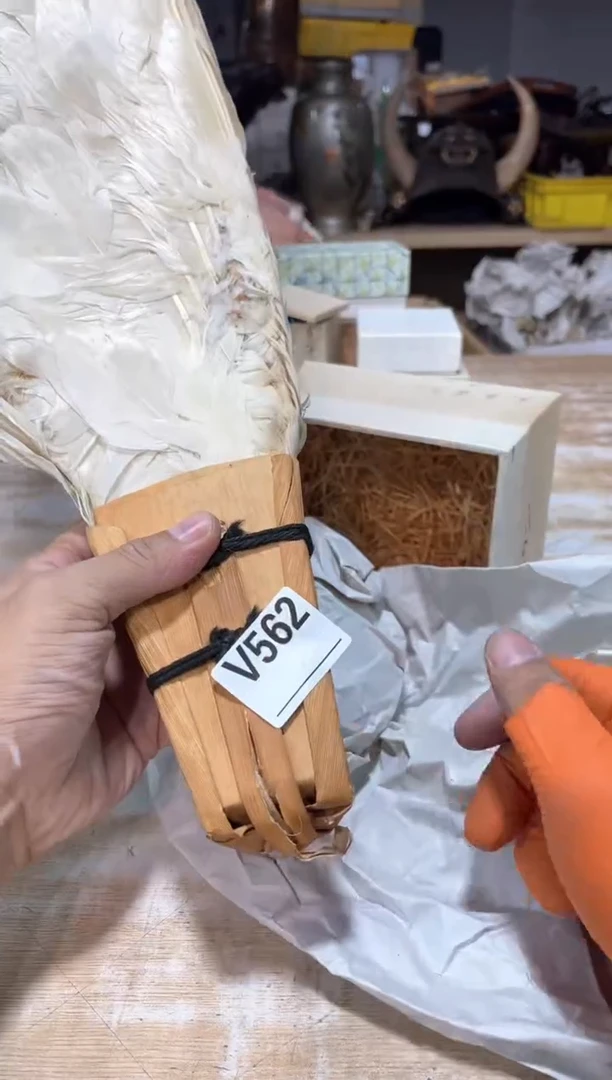 瓷片羅*直播定闪专用链接211