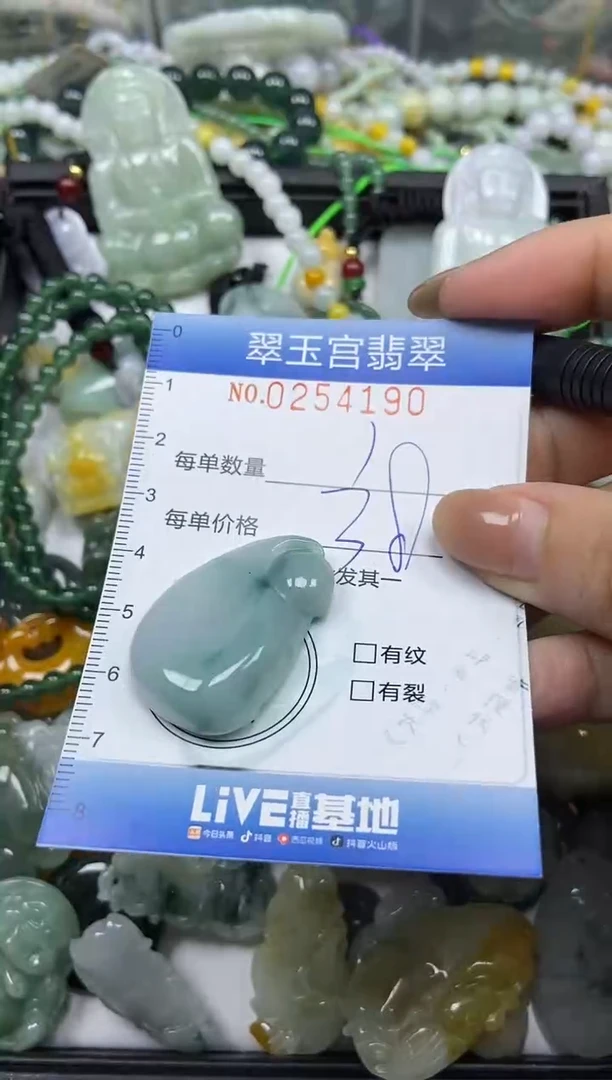 颈饰未镶嵌翡翠闪购C0254190