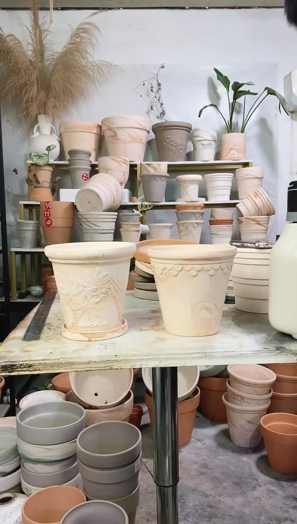 16*15玛奇朵巴洛克+香草组合 2盆2托