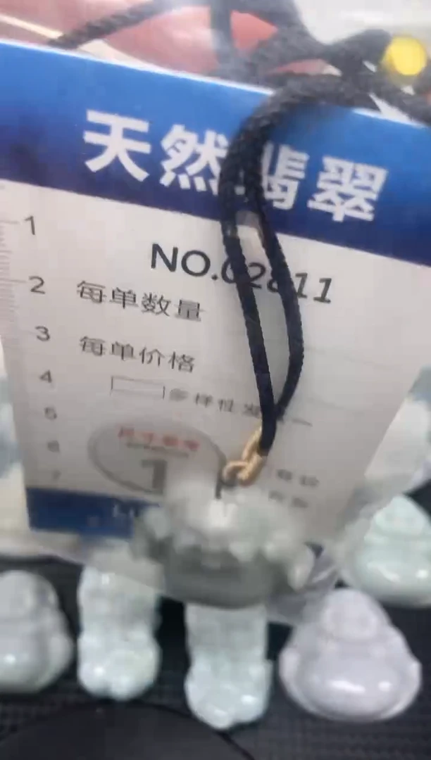 颈饰未镶嵌翡翠纯天然A货翡翠2811