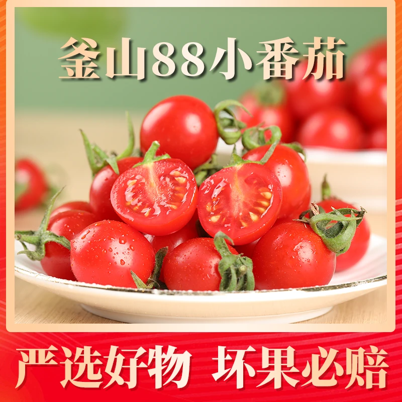 【老马专属】山东釜山88小番茄2斤/4斤 4-15g 60-220个 顺丰/京东