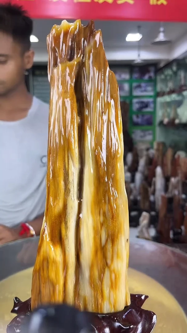 未镶嵌珠宝奇石硅化玉缅甸天然树化玉摆件