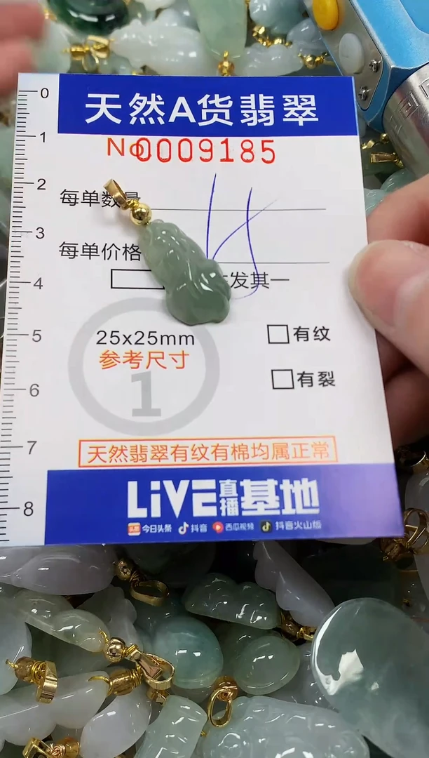 颈饰未镶嵌翡翠纯天然a货翡翠
