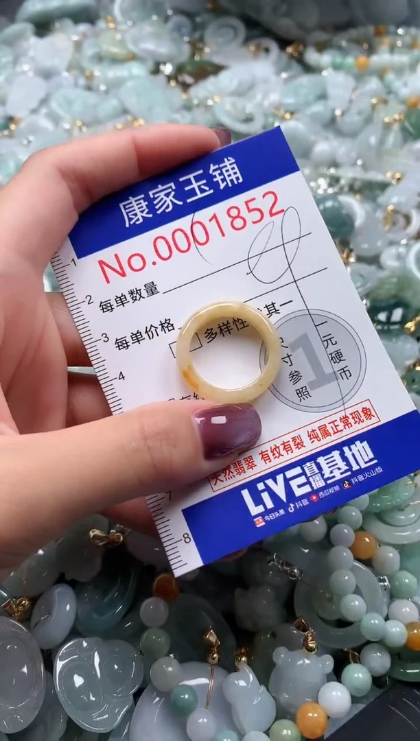 翡翠未镶嵌吊坠(不含链)1852