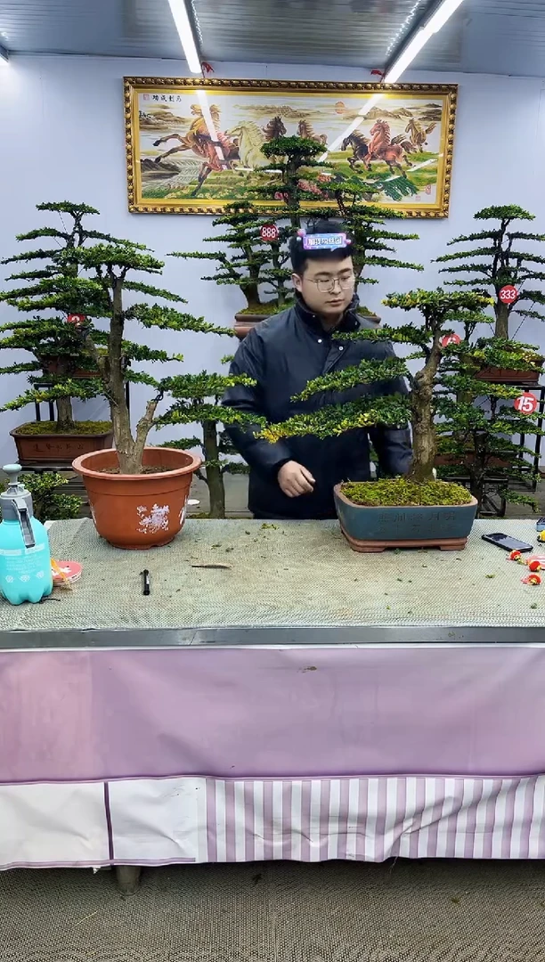 【闪购商品】啊啊啊啊