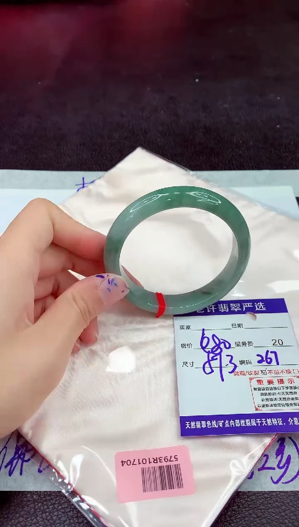 未镶嵌手镯翡翠1