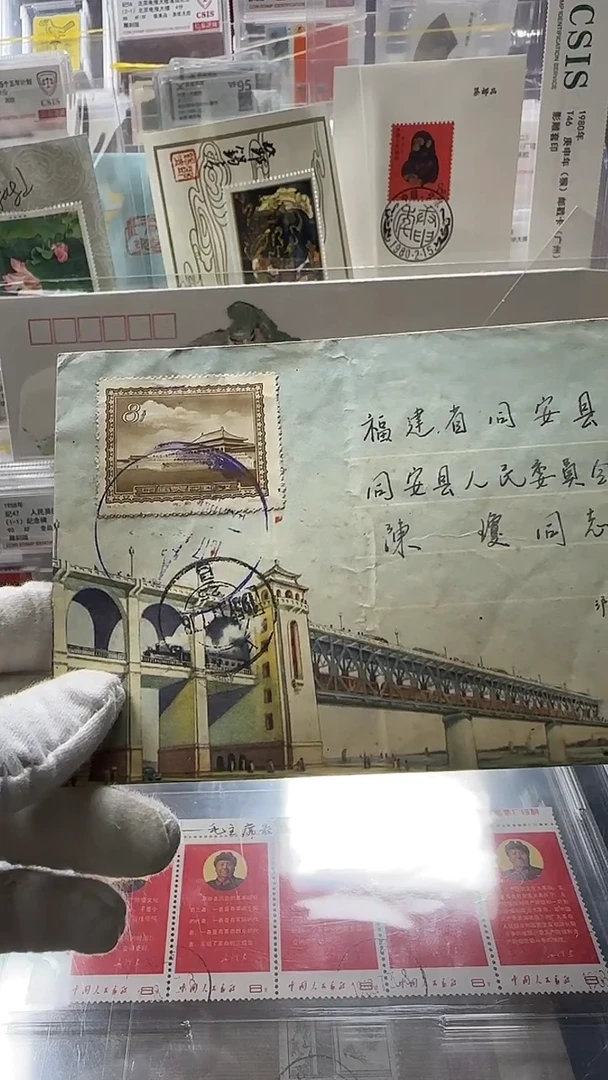 特15